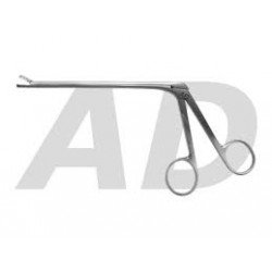 PINÇA FENESTRADA BLAKESLEY - ADULTO/RETA