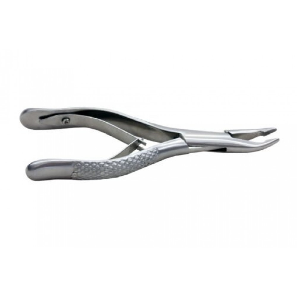 GOIVA LUER (ALVEOLÓTOMO)